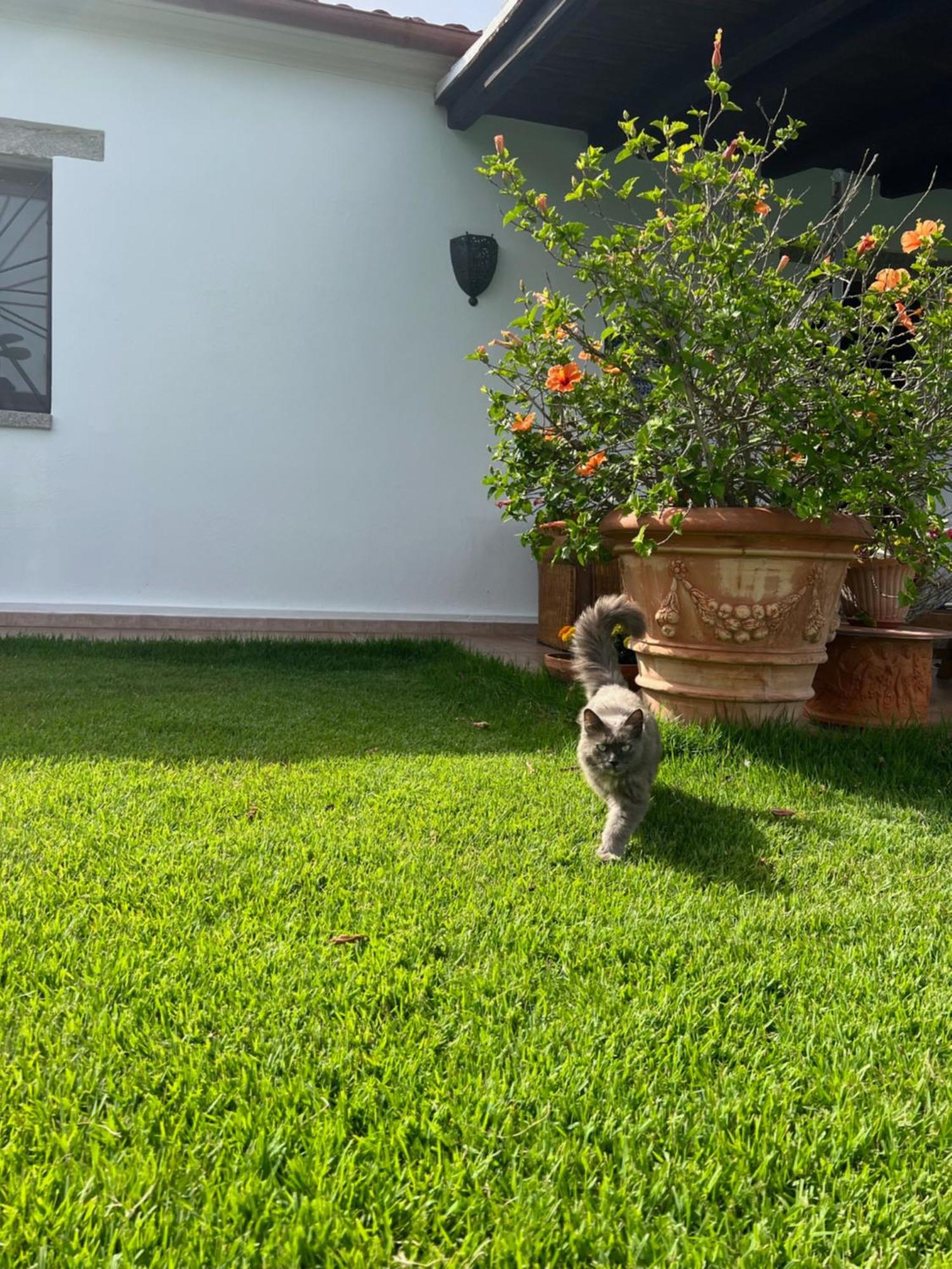 Villa Peditoltu オルビア エクステリア 写真